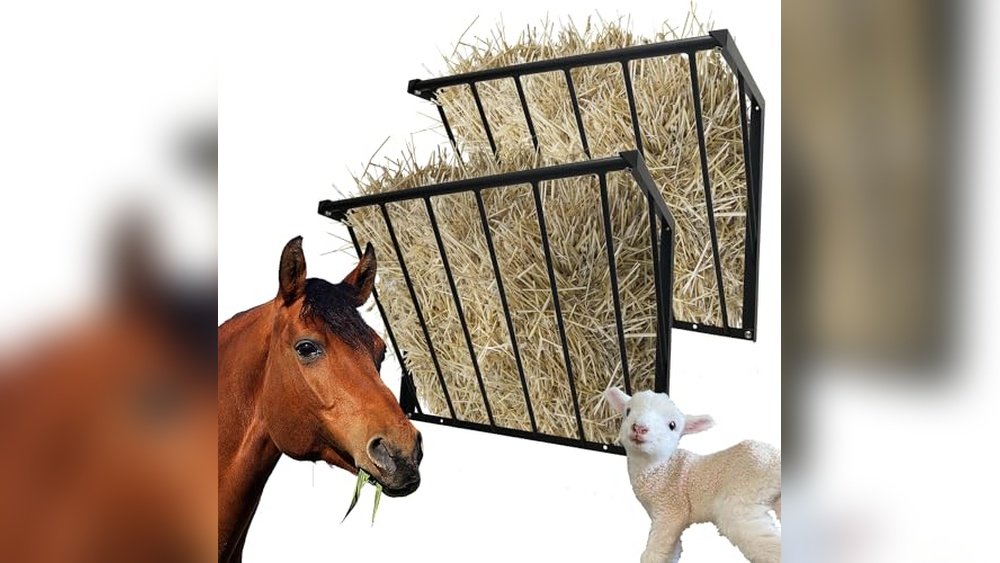 Best Hay Feeder for Horses