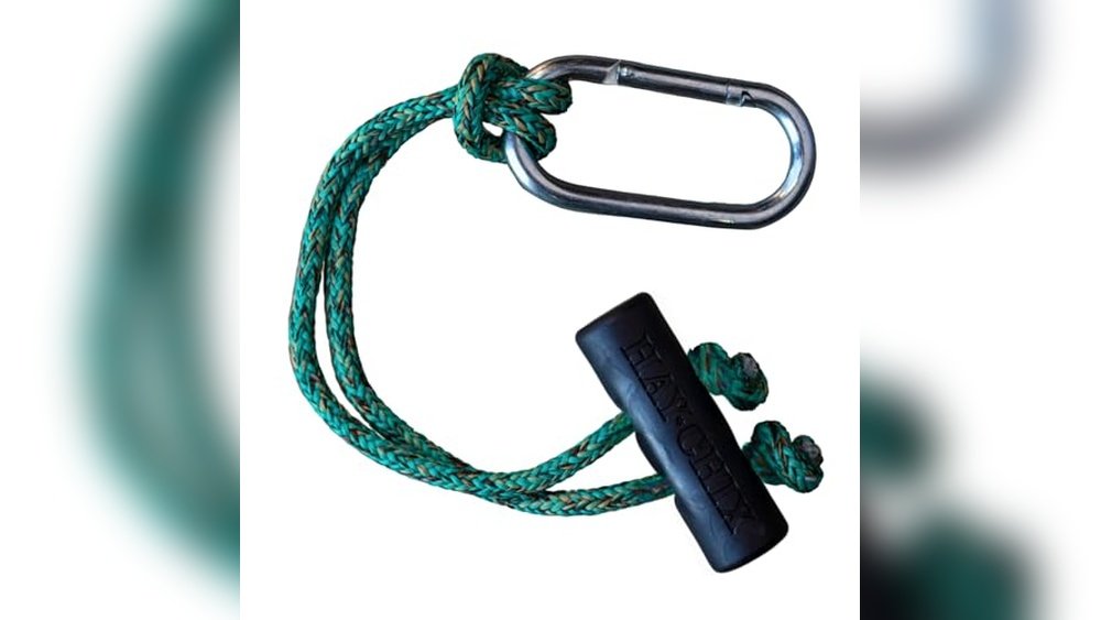 Best Hay for Horses in Winter