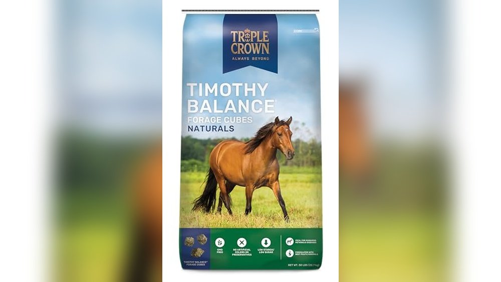 Best Hay for Insulin Resistant Horses