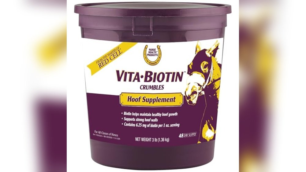 Best Hoof Supplement for Horses