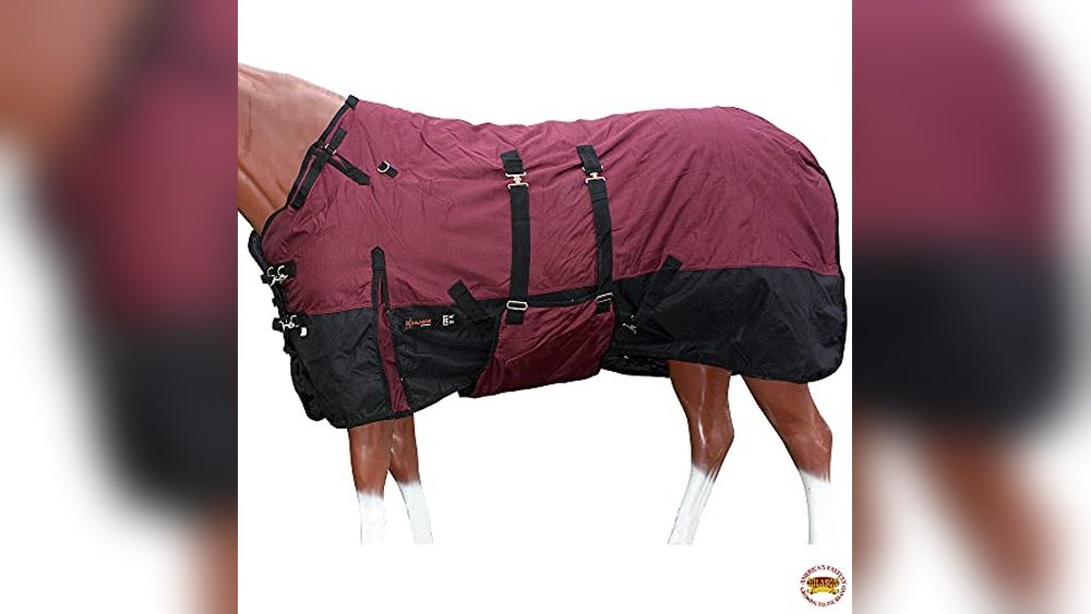 Best Horse Blankets for Winter