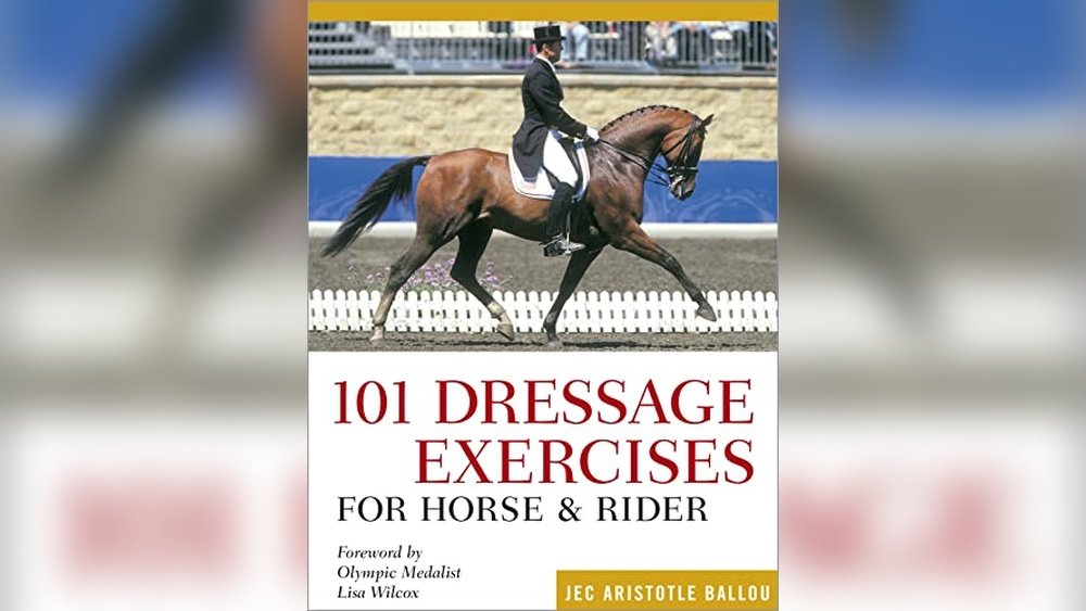 Best Horse Breeds for Dressage