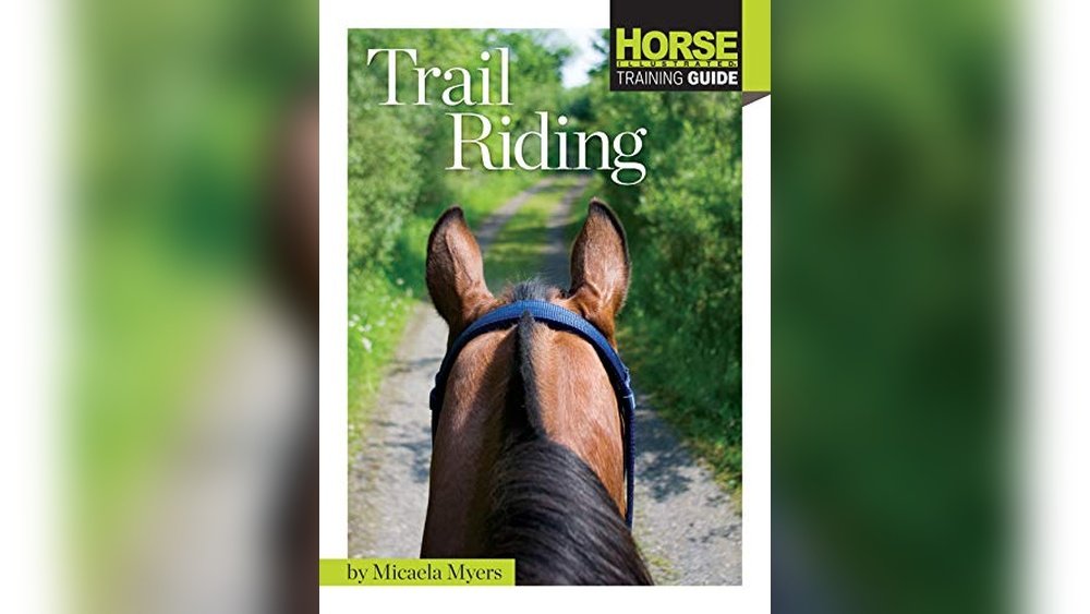 Best Horse Breeds for Trail Riding