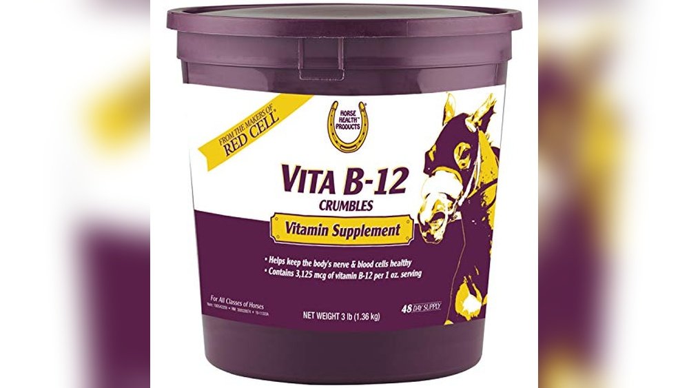 Best Horse Feed for Performance Horses