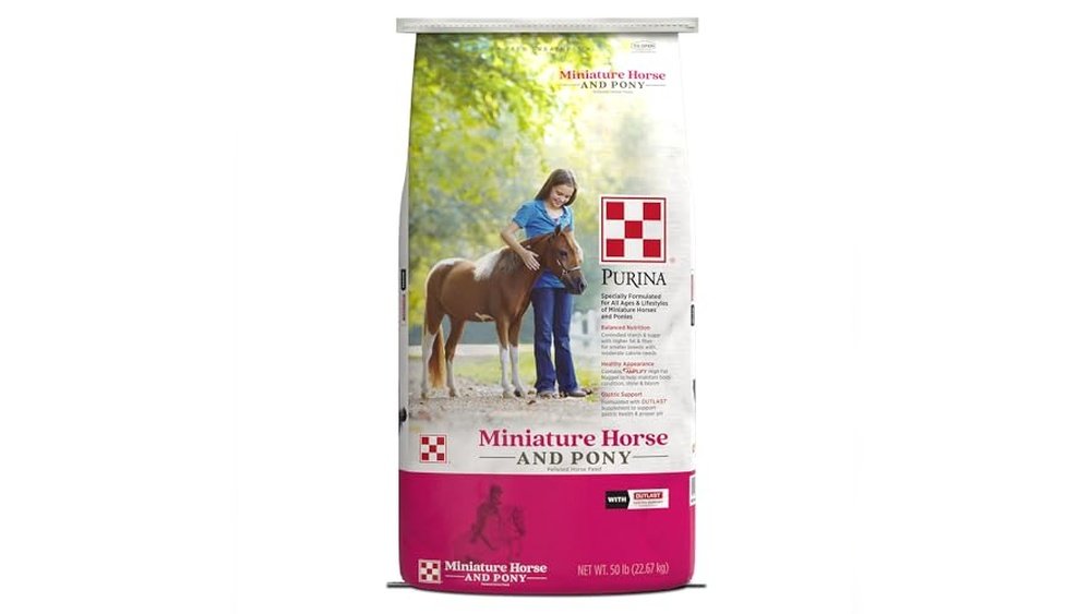 Best Horse Feed for Yearlings