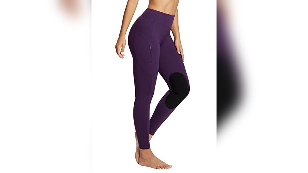 Best Horses for Trail Riding