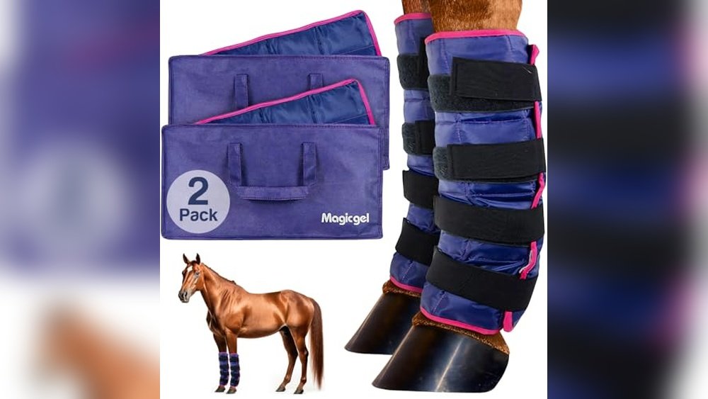 Best Ice Boots for Horses