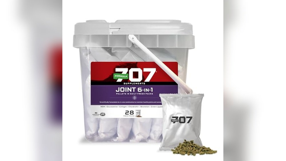 Best Joint Supplement for Horses 2023