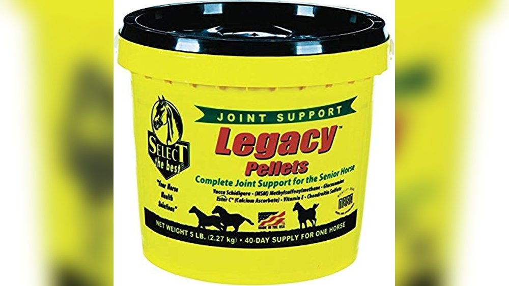 Best Joint Supplement for Senior Horses