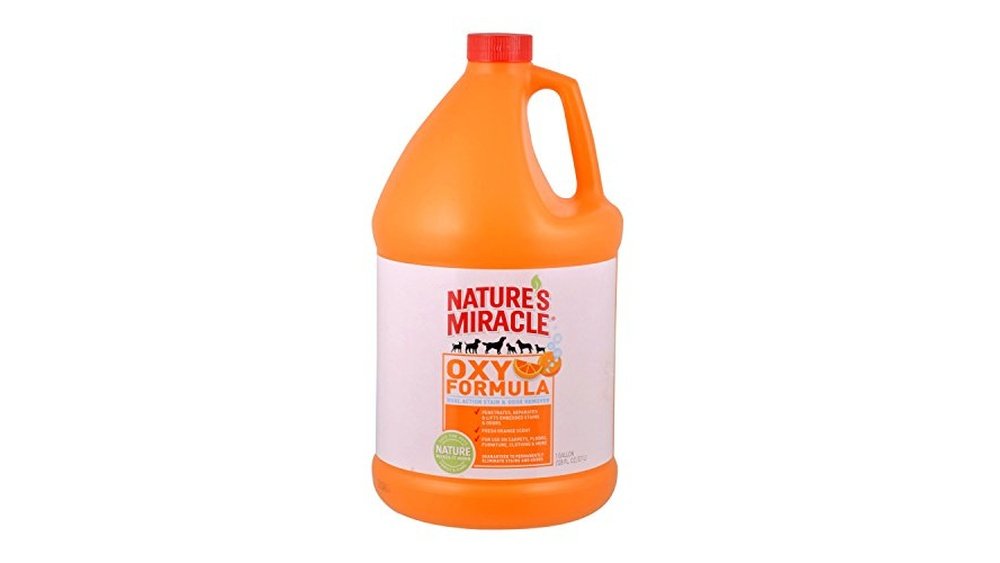 Best Laundry Detergent for Cat Pee