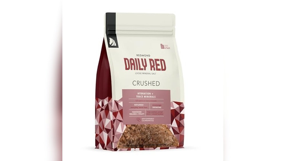 Best Loose Salt for Horses