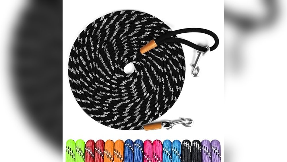 Best Lunge Line for Horses