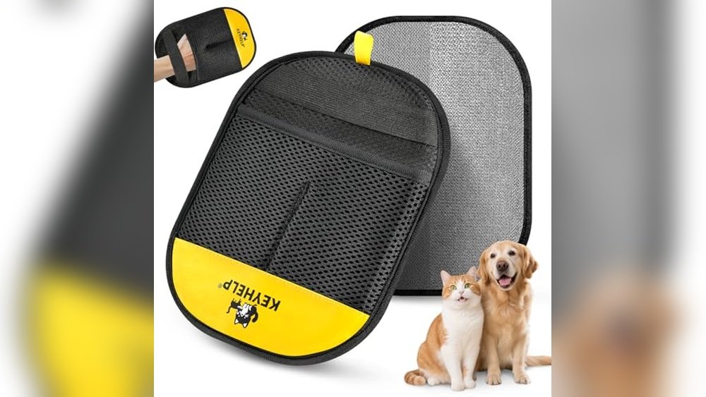 Best Material for Cat Hair