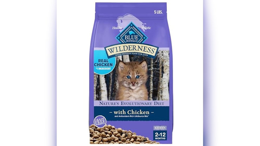 Best Natural Cat Food for Kittens