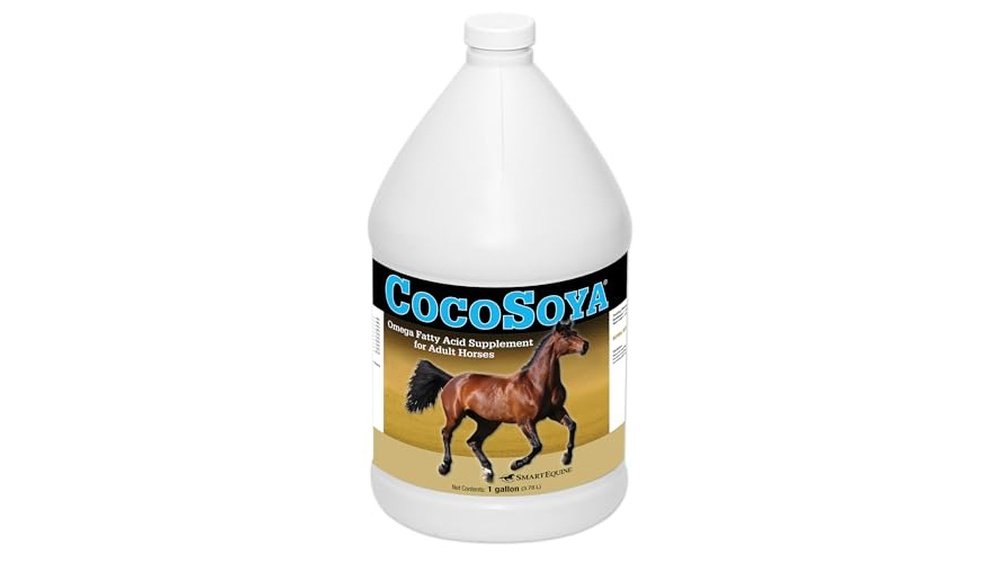 Best Oil for Horses