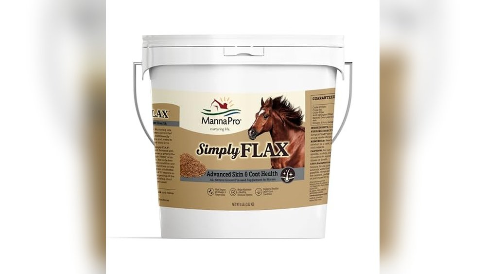 Best Omega 3 Supplement for Horses
