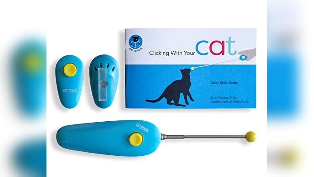 Best Online Classes for Cat