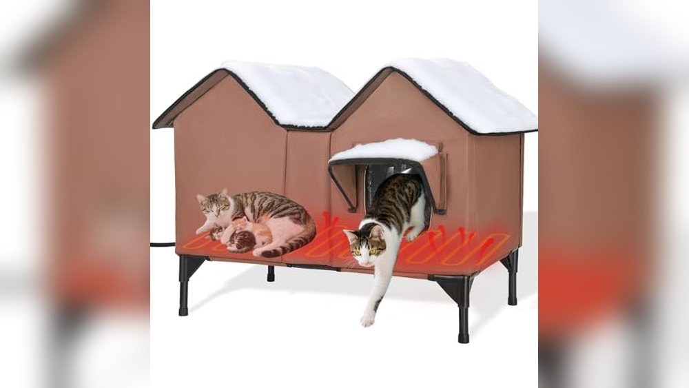Best Outdoor Cat House for Multiple Cats