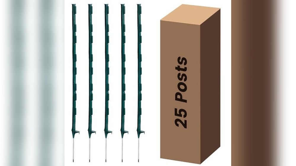 Best Posts for Horse Fence