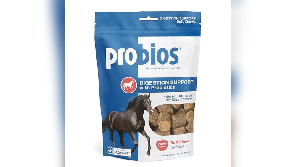Best Pro And Prebiotics for Horses