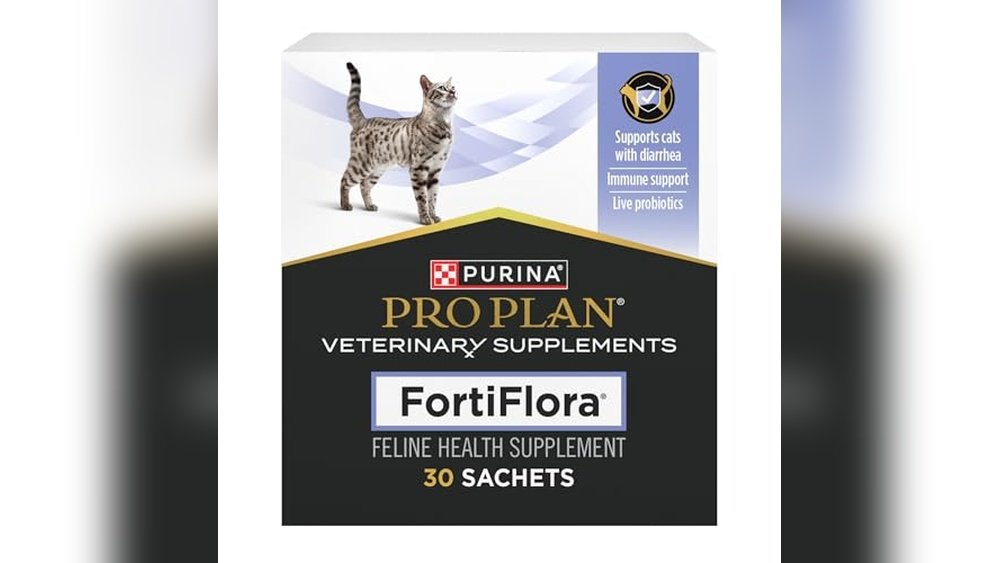 Best Probiotic for Cat