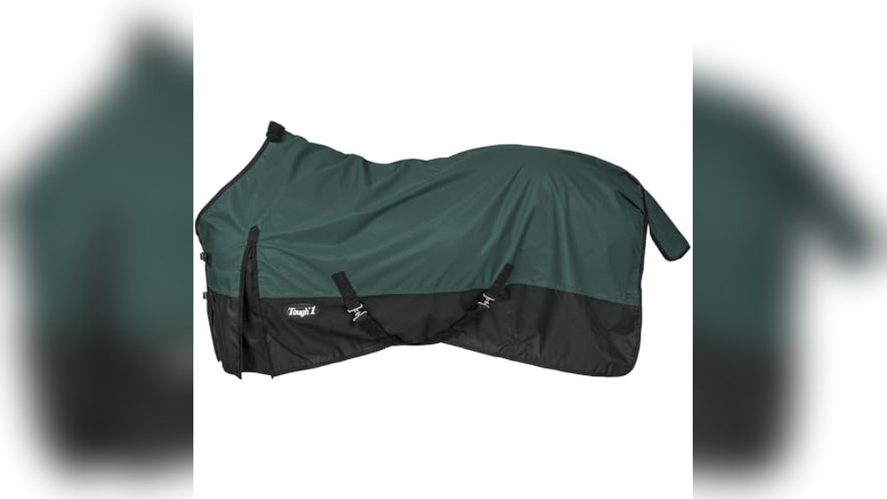 Best Rain Sheets for Horses
