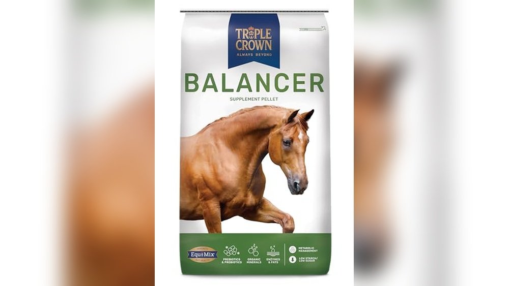 Best Ration Balancer for Horses
