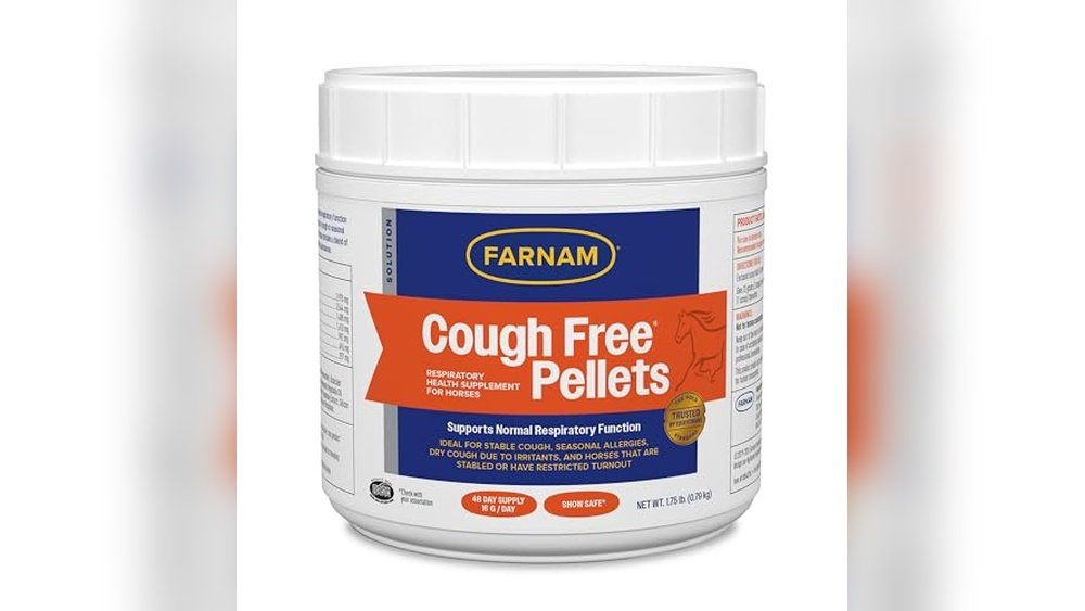 Best Respiratory Supplement for Horses