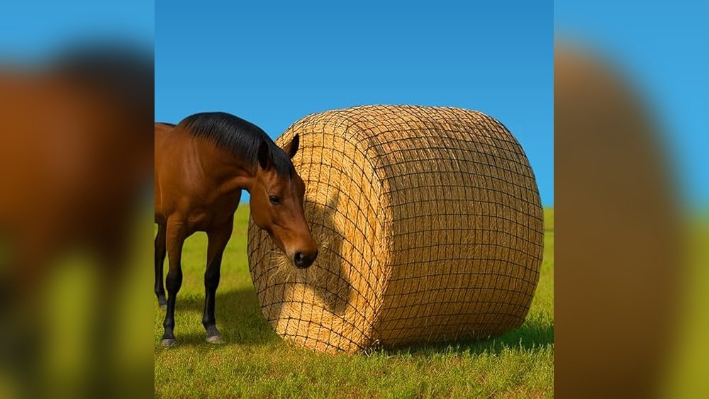 Best Round Bale Hay Net for Horses