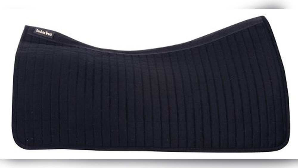 Best Saddle Pad for Horse With Sore Back