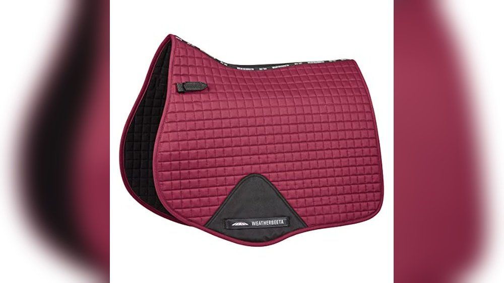Best Saddle Pads for Horses