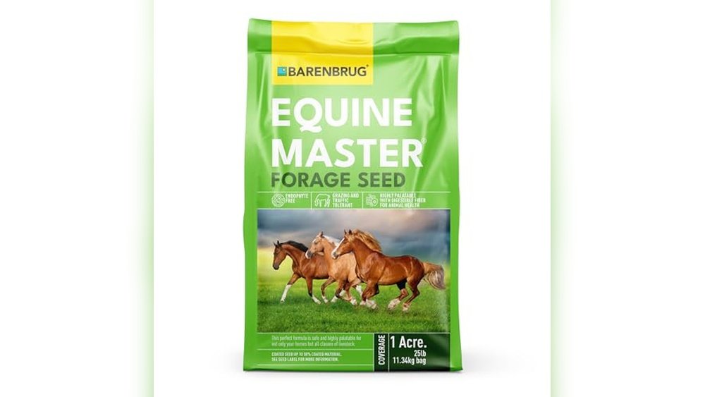 Best Seed Mix for Horse Pasture