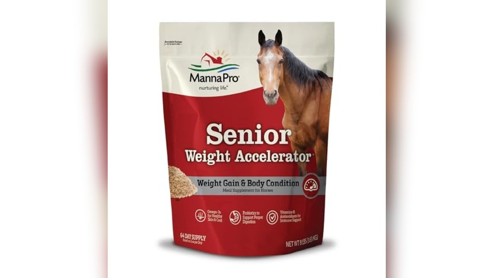 Best Senior Horse Feed for Weight Gain