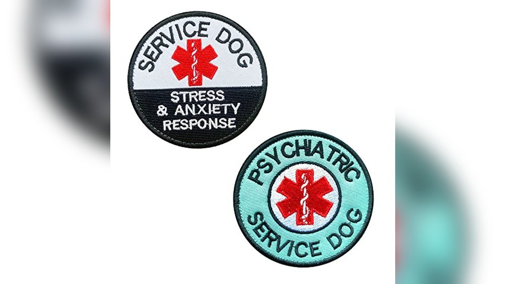 Best Service Dog Breeds for Ptsd And Anxiety