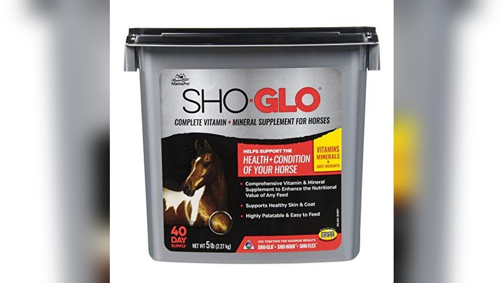 Best Skin And Coat Supplement for Horses