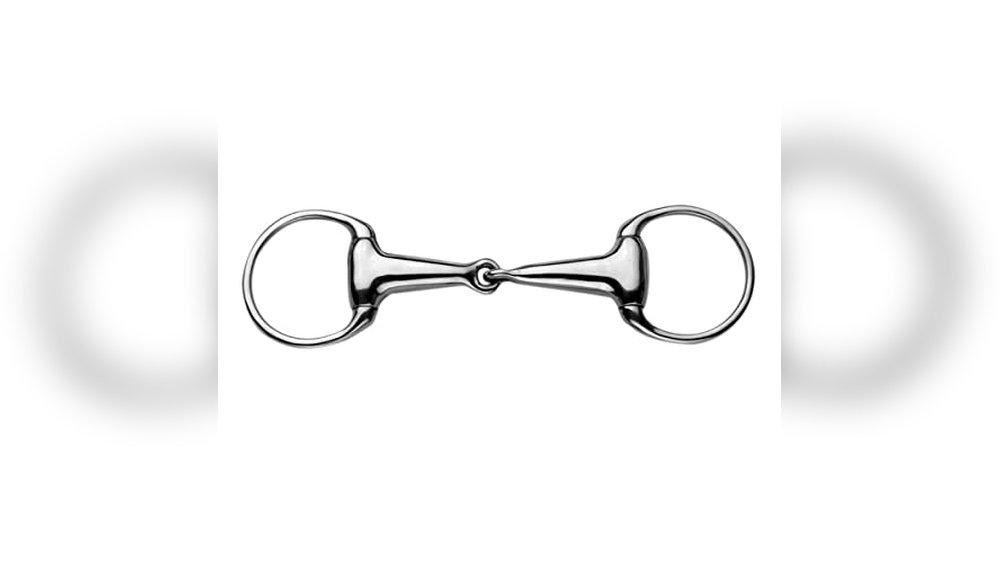 Best Snaffle Bit for Young Horse