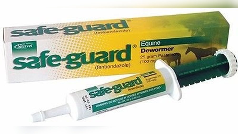 Best Spring Wormer for Horses