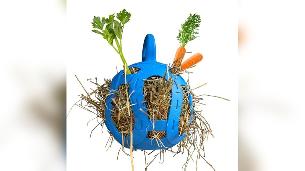 Best Stall Toys for Horses