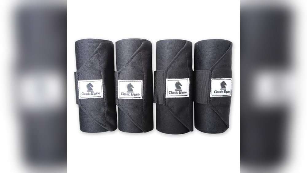 Best Standing Wraps for Horses