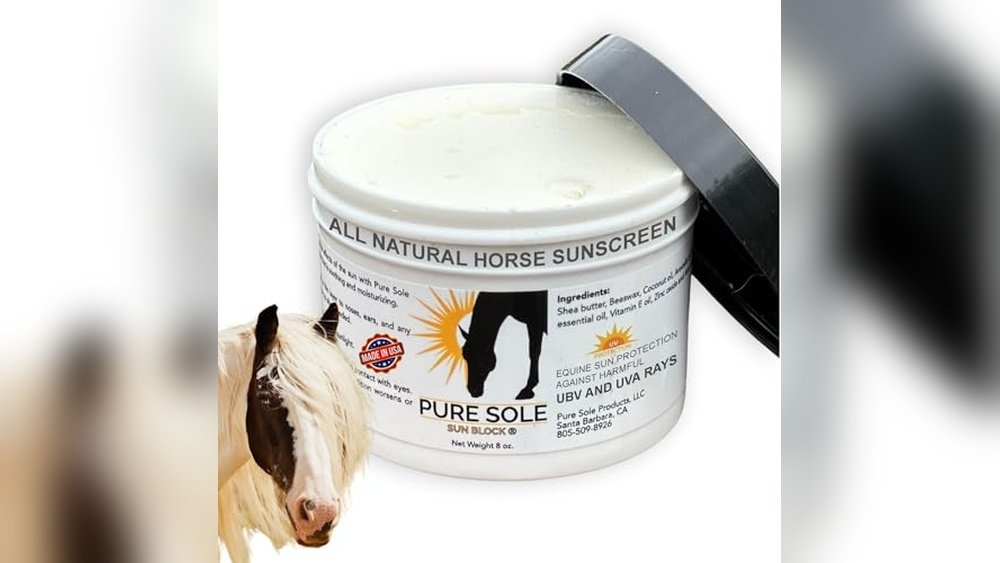 Best Sunscreen for Horses