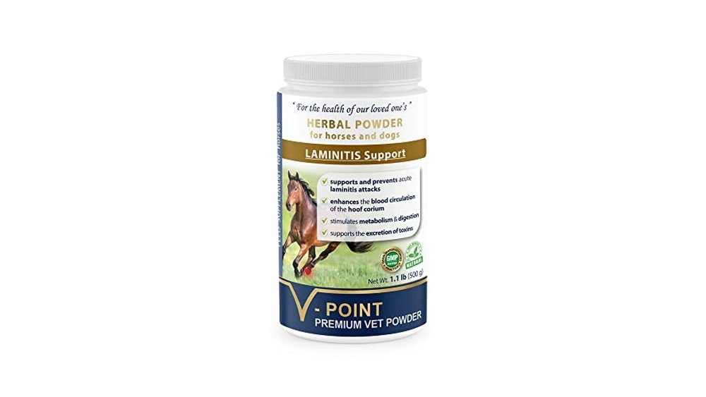 Best Supplement for Foundered Horse