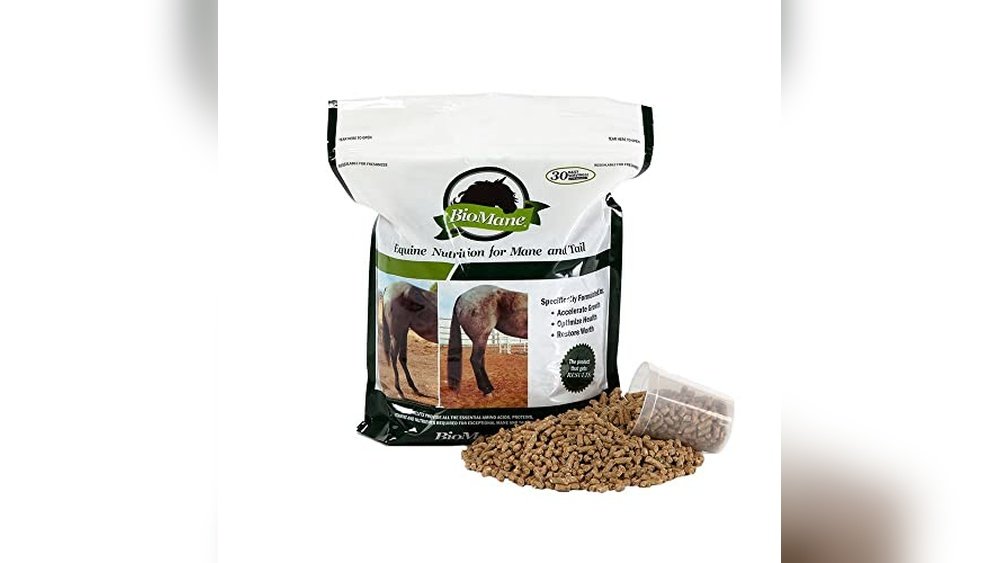 Best Supplement for Horse Hair Growth