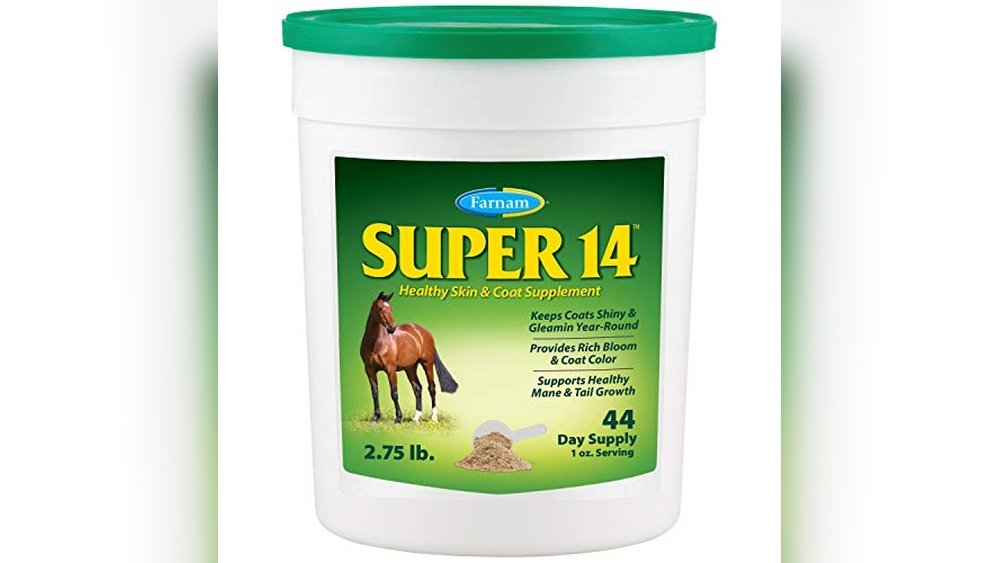 Best Supplement for Horse With Dry Skin