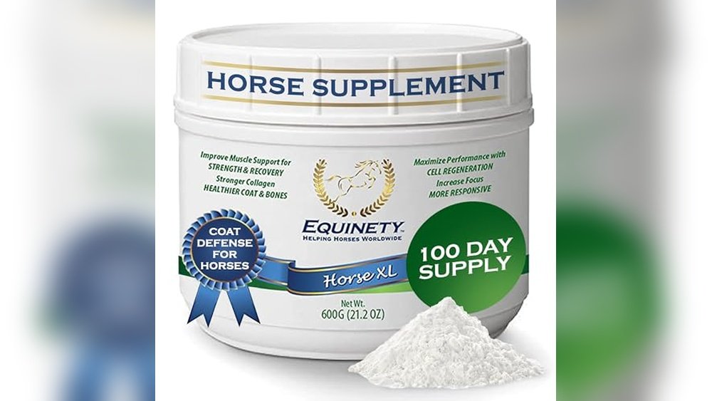 Best Supplements for Navicular Horses