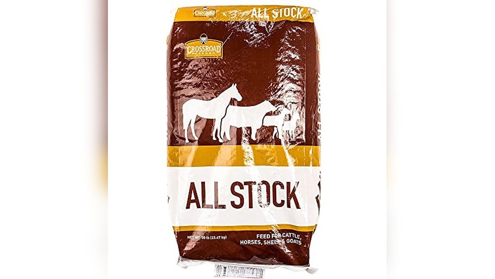 Best Sweet Feed for Horses