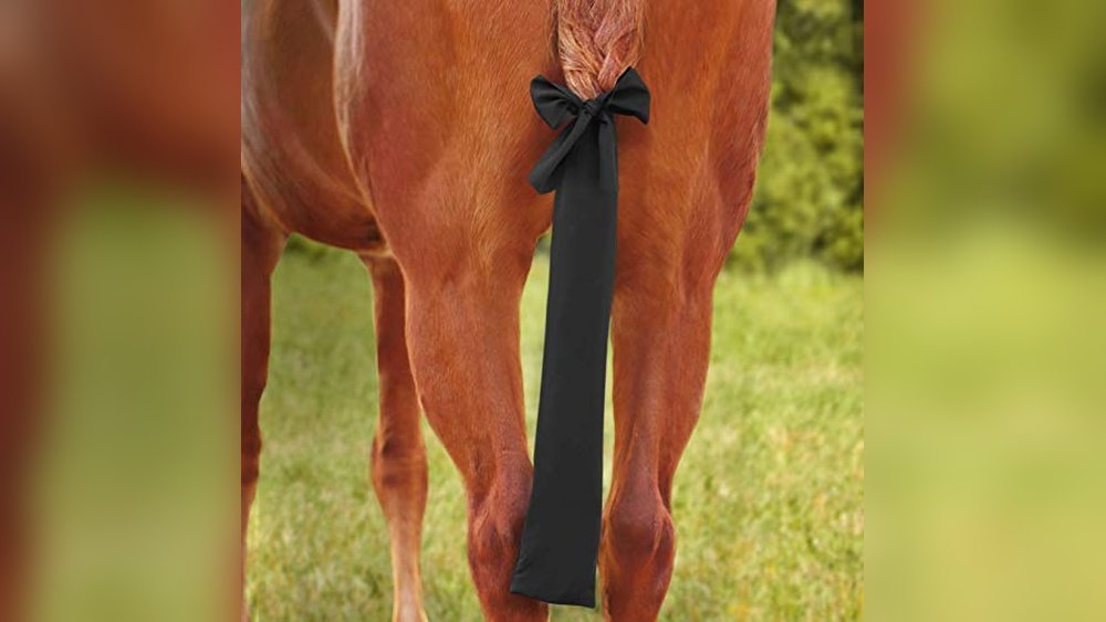 Best Tail Bags for Horses