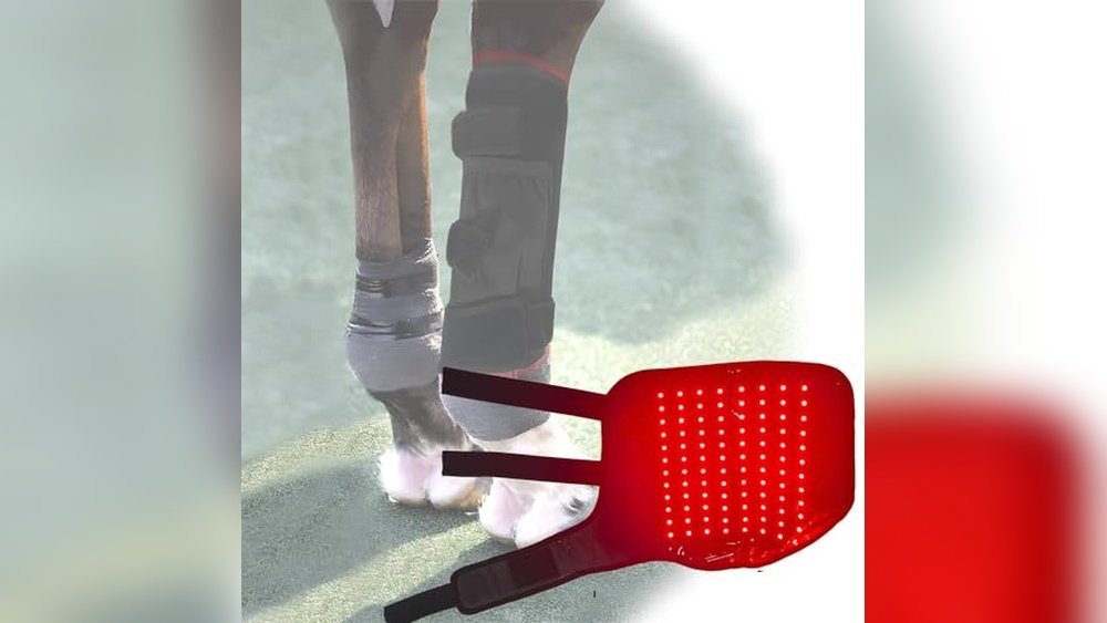 Best Therapy Boots for Horses