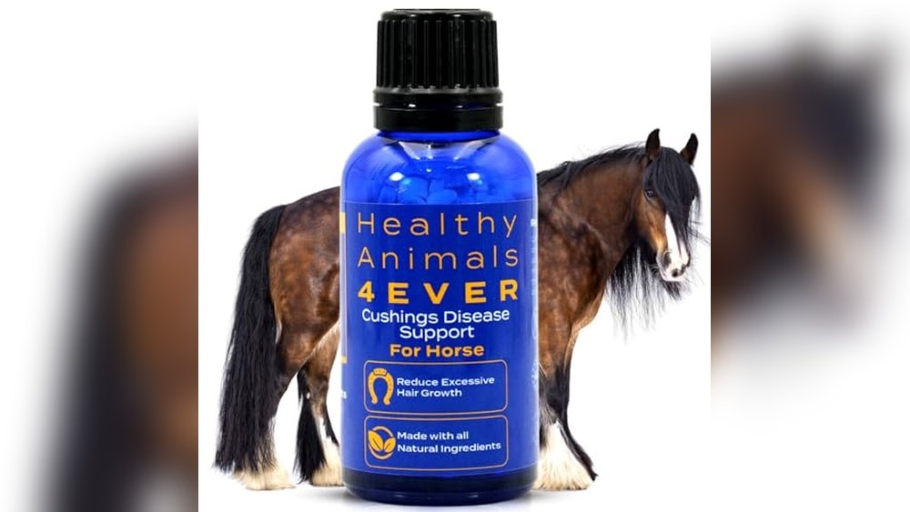 Best Time to Test for Cushing'S in Horses