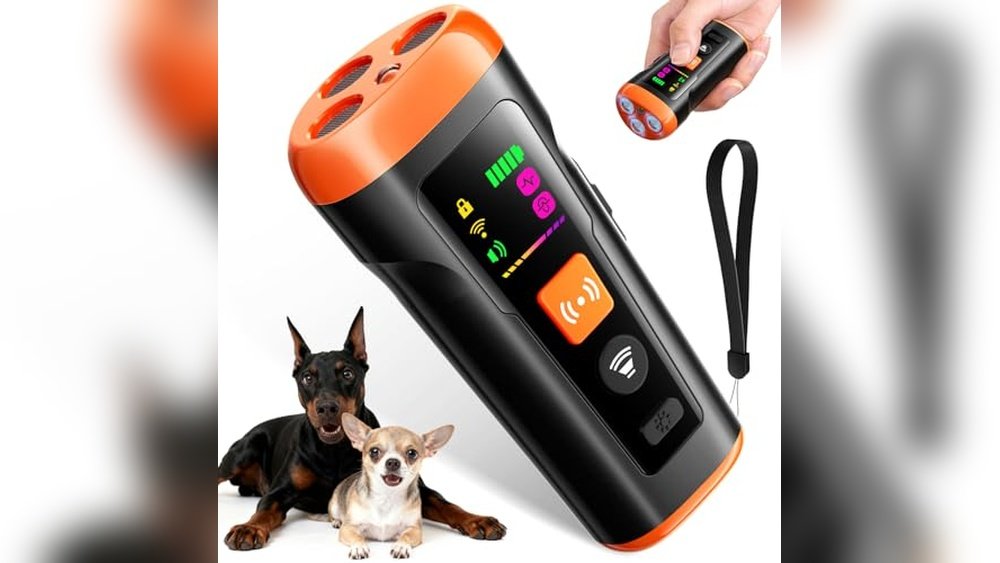 Best Tools for Dog Training