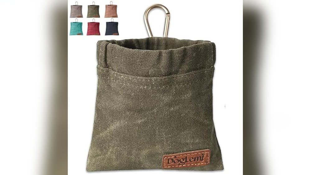 Best Treat Pouch for Dog Training